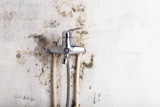 Best Professional Mold Removal  in Eldorado At Santa Fe, NM