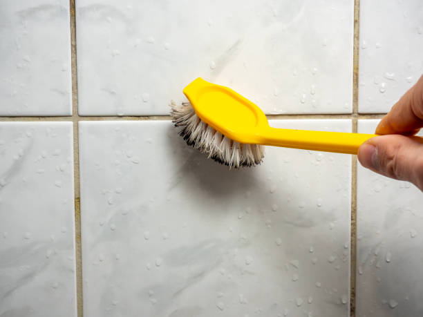Mold Removal Process in Eldorado At Santa Fe, NM