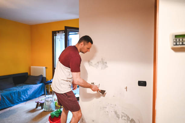Best Office Mold Removal Services  in Eldorado At Santa Fe, NM