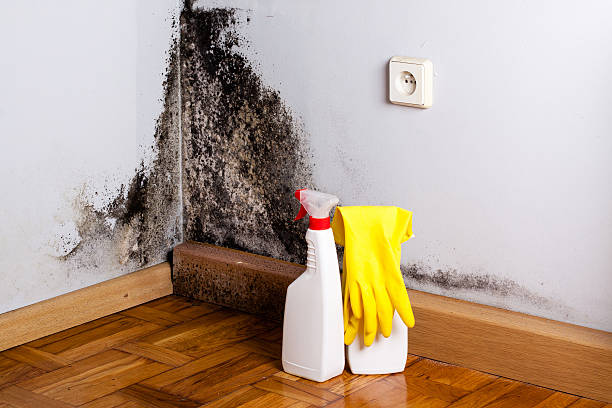 Best Crawl Space Mold Removal  in Eldorado At Santa Fe, NM